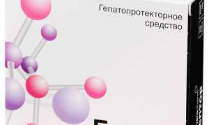 Гептор: инструкция по применению гепатопротектора