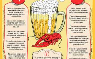 Можно ли пить пиво при повышенном холестерине?