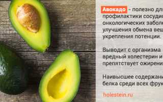 Польза авокадо при повышенном холестерине
