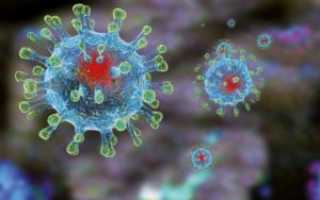 Вспышка нового коронавируса в Китае 2020: что это за болезнь, какими симптомами проявляется и насколько опасна для людей