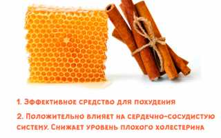 Корица и мед для снижения уровня холестерина: рецепты применения