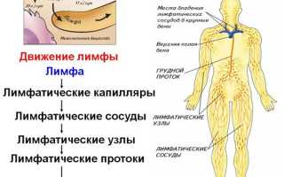 Возможно ли лечение воспаления лимфоузлов на шее у взрослых в домашних условиях?