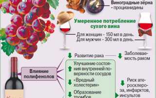 Можно ли пить красное вино при повышенном холестерине?