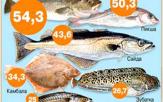 Рыба при повышенном холестерине: какие виды можно есть?