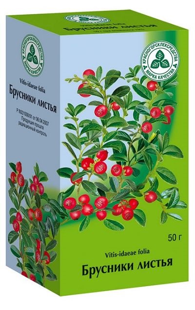 листья брусники листья брусники