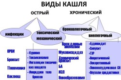 Виды кашля Виды кашля