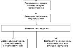 Патогенез болезни Иценко-Кушинга Патогенез болезни Иценко-Кушинга